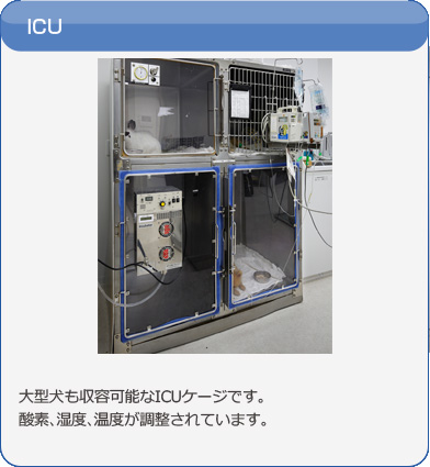 icu